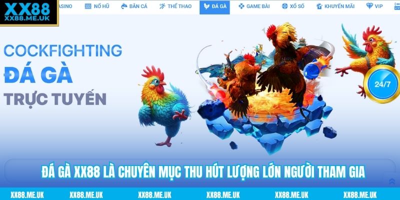 Đá gà XX88 là chuyên mục thu hút lượng lớn người tham gia